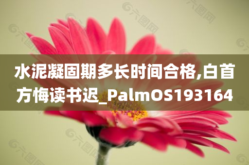 水泥凝固期多长时间合格,白首方悔读书迟_PalmOS193164