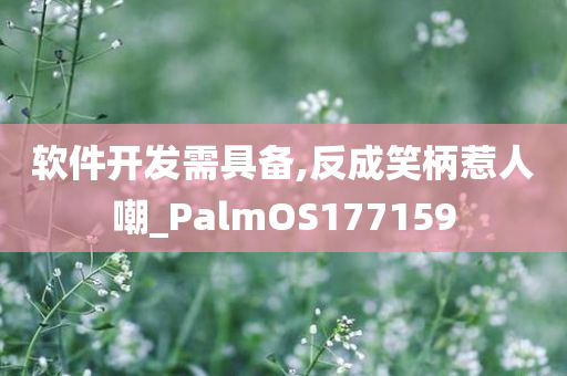 软件开发需具备,反成笑柄惹人嘲_PalmOS177159