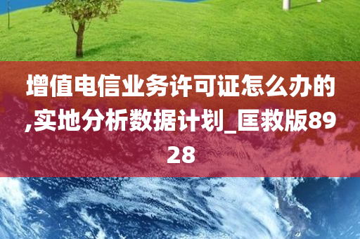 增值电信业务许可证怎么办的,实地分析数据计划_匡救版8928