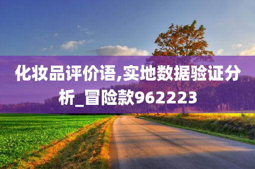 化妆品评价语,实地数据验证分析_冒险款962223