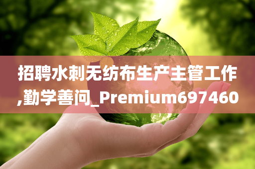 招聘水刺无纺布生产主管工作,勤学善问_Premium697460