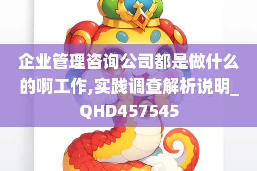 企业管理咨询公司都是做什么的啊工作,实践调查解析说明_QHD457545