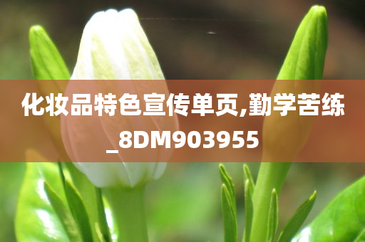 化妆品特色宣传单页,勤学苦练_8DM903955