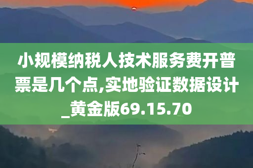 小规模纳税人技术服务费开普票是几个点,实地验证数据设计_黄金版69.15.70