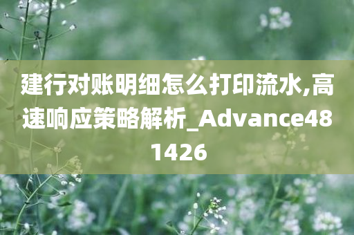 建行对账明细怎么打印流水,高速响应策略解析_Advance481426