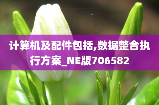 计算机及配件包括,数据整合执行方案_NE版706582