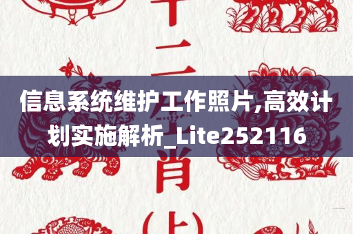 信息系统维护工作照片,高效计划实施解析_Lite252116