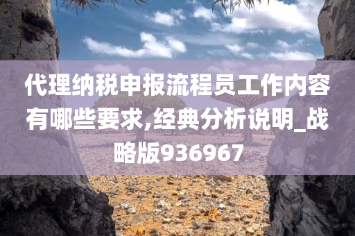 代理纳税申报流程员工作内容有哪些要求,经典分析说明_战略版936967