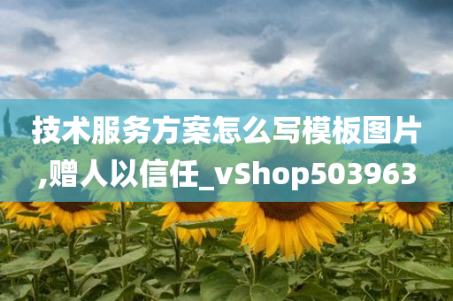 技术服务方案怎么写模板图片,赠人以信任_vShop503963