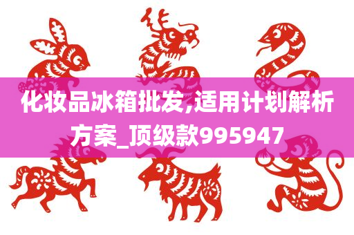 化妆品冰箱批发,适用计划解析方案_顶级款995947