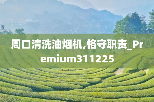 周口清洗油烟机,恪守职责_Premium311225