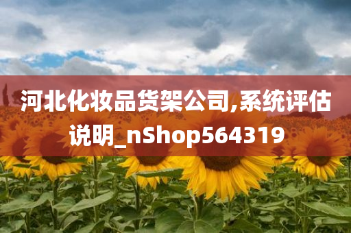 河北化妆品货架公司,系统评估说明_nShop564319