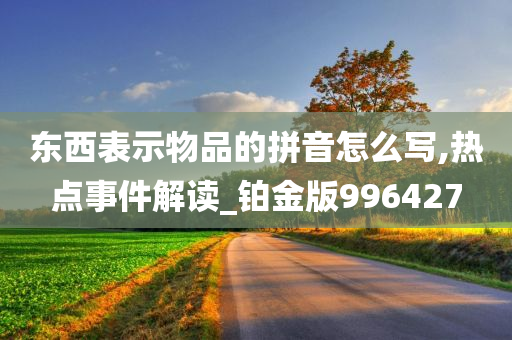 东西表示物品的拼音怎么写,热点事件解读_铂金版996427