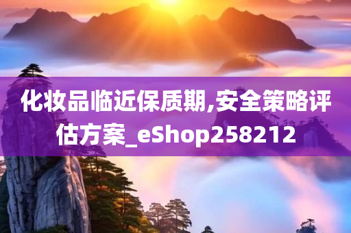 化妆品临近保质期,安全策略评估方案_eShop258212