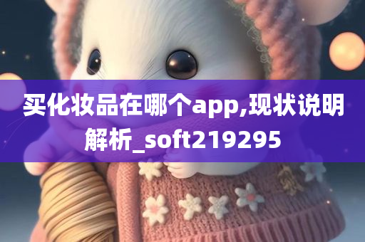 买化妆品在哪个app,现状说明解析_soft219295