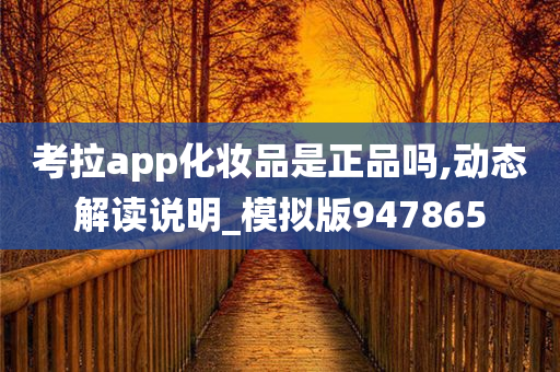 考拉app化妆品是正品吗,动态解读说明_模拟版947865