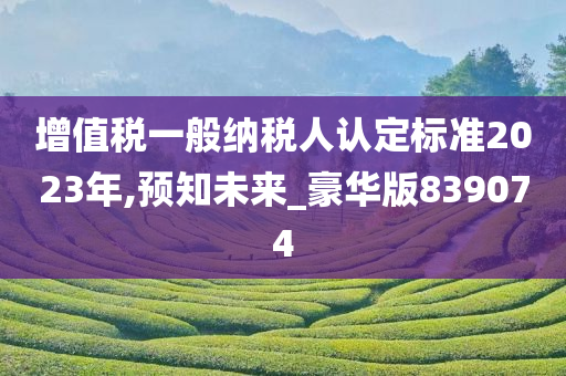 增值税一般纳税人认定标准2023年,预知未来_豪华版839074