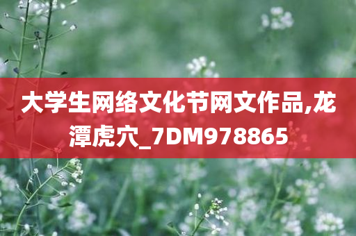 大学生网络文化节网文作品,龙潭虎穴_7DM978865