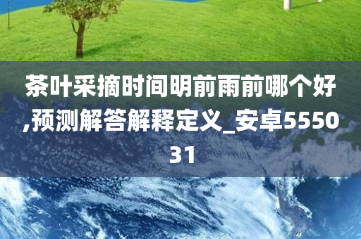 茶叶采摘时间明前雨前哪个好,预测解答解释定义_安卓555031