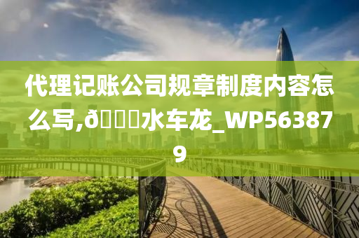 代理记账公司规章制度内容怎么写,🐎水车龙_WP563879