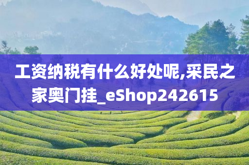 工资纳税有什么好处呢,采民之家奥门挂_eShop242615