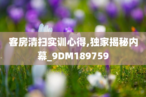 客房清扫实训心得,独家揭秘内幕_9DM189759