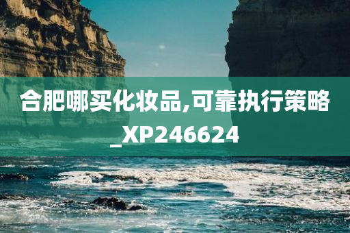 合肥哪买化妆品,可靠执行策略_XP246624