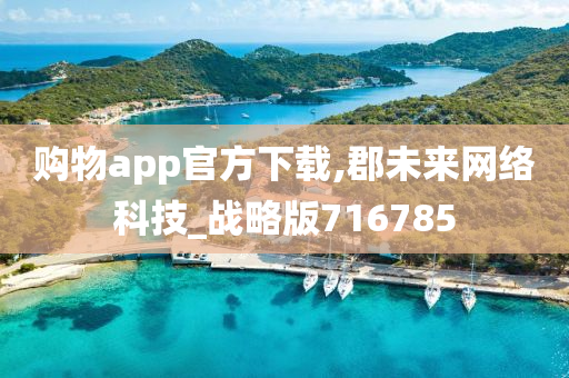 购物app官方下载,郡未来网络科技_战略版716785