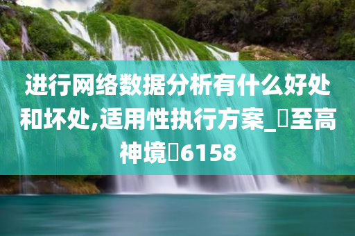 进行网络数据分析有什么好处和坏处,适用性执行方案_‌至高神境‌6158