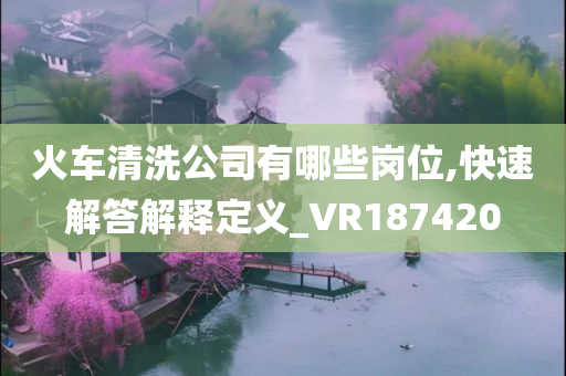 火车清洗公司有哪些岗位,快速解答解释定义_VR187420