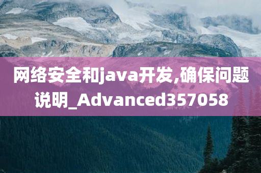 网络安全和java开发,确保问题说明_Advanced357058