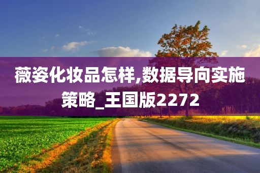 薇姿化妆品怎样,数据导向实施策略_王国版2272