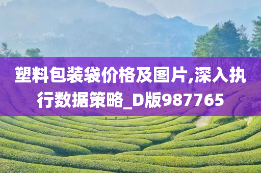 塑料包装袋价格及图片,深入执行数据策略_D版987765