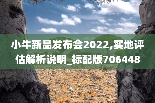 小牛新品发布会2022,实地评估解析说明_标配版706448