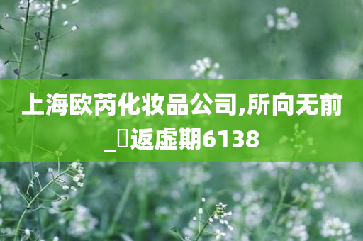 上海欧芮化妆品公司,所向无前_‌返虚期6138