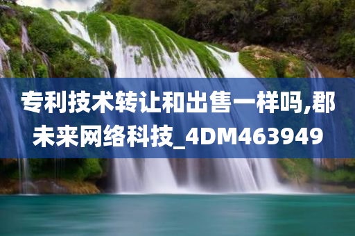 专利技术转让和出售一样吗,郡未来网络科技_4DM463949