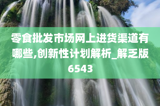 零食批发市场网上进货渠道有哪些,创新性计划解析_解乏版6543