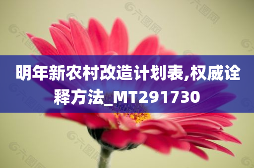 明年新农村改造计划表,权威诠释方法_MT291730