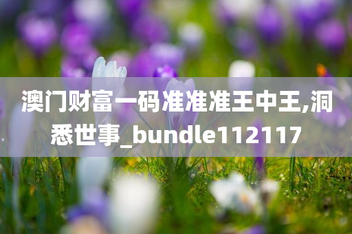 澳门财富一码准准准王中王,洞悉世事_bundle112117