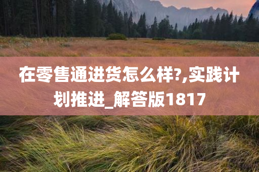 在零售通进货怎么样?,实践计划推进_解答版1817