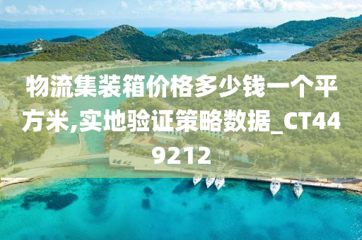 物流集装箱价格多少钱一个平方米,实地验证策略数据_CT449212