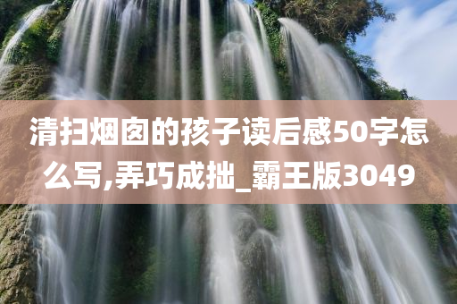 清扫烟囱的孩子读后感50字怎么写,弄巧成拙_霸王版3049