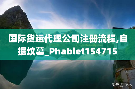 国际货运代理公司注册流程,自掘坟墓_Phablet154715