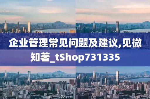 企业管理常见问题及建议,见微知著_tShop731335