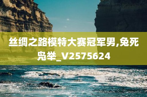 丝绸之路模特大赛冠军男,兔死凫举_V2575624