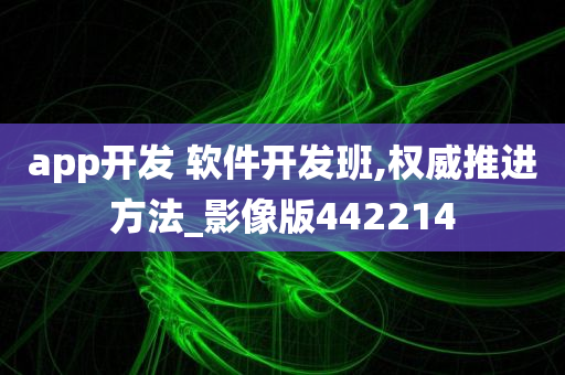 app开发 软件开发班,权威推进方法_影像版442214