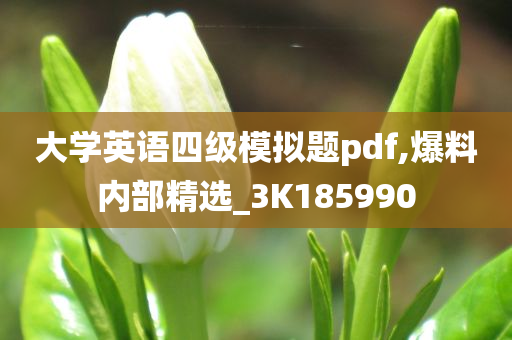 大学英语四级模拟题pdf,爆料内部精选_3K185990