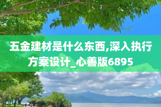 五金建材是什么东西,深入执行方案设计_心善版6895