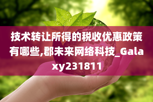 技术转让所得的税收优惠政策有哪些,郡未来网络科技_Galaxy231811