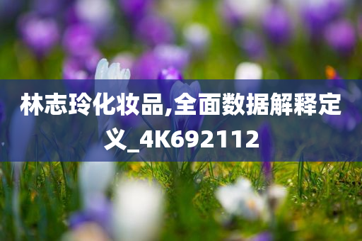 林志玲化妆品,全面数据解释定义_4K692112